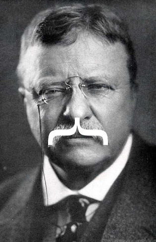 Teddy Roosevelt's facial hair is a curly brace. Teddy Roosevelt's facial hair is a curly brace.